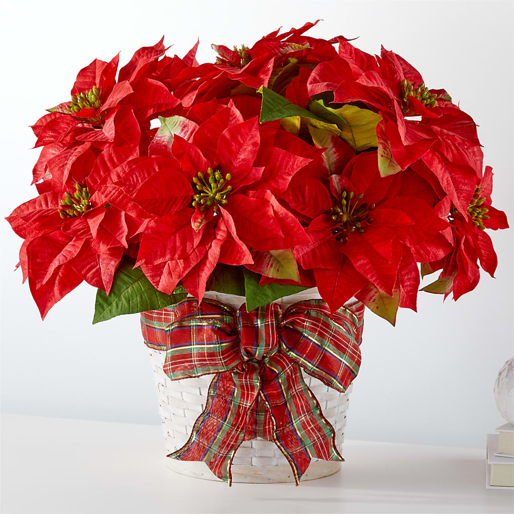 Happiest Holidays Poinsettia – THE CARRIAGE HOUSE FLORAL & GIFTS, Marlette MI