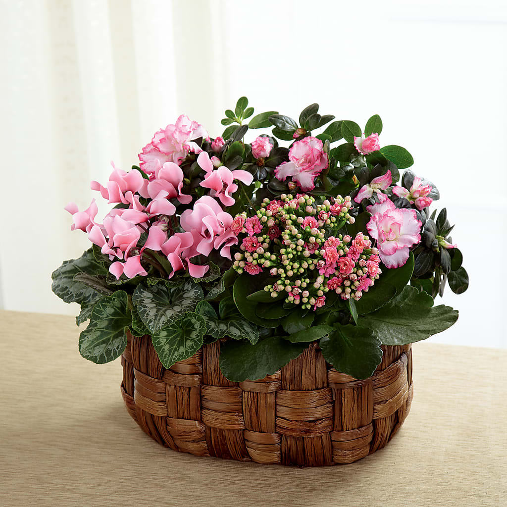 Pink Assortment – THE CARRIAGE HOUSE FLORAL & GIFTS, Marlette MI