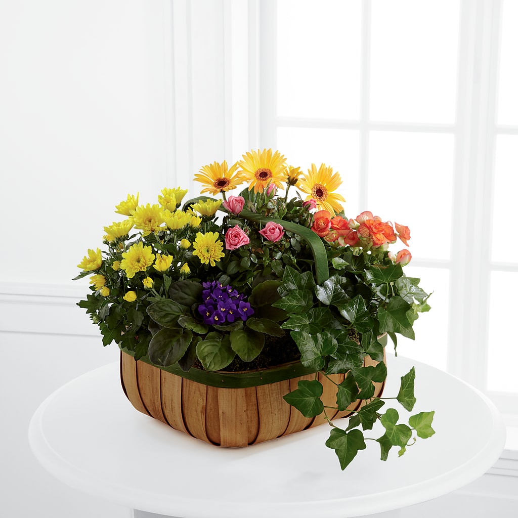 Gentle Blossoms Basket – THE CARRIAGE HOUSE FLORAL & GIFTS, Marlette MI