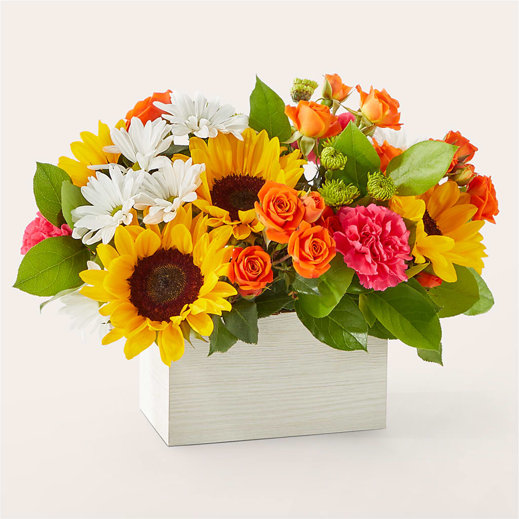 Sun-drenched Blooms Box Bouquet – THE CARRIAGE HOUSE FLORAL & GIFTS, Marlette MI