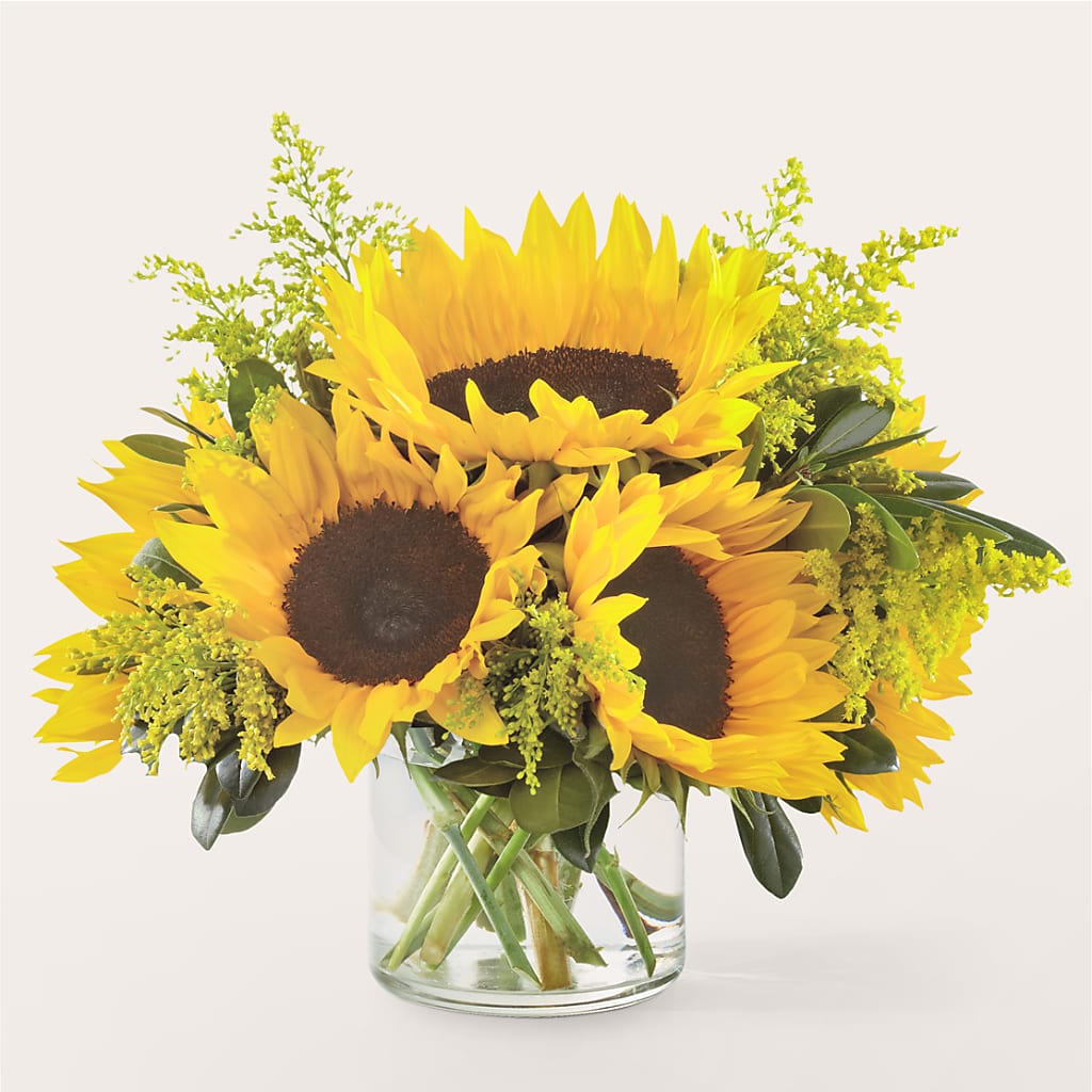 Beaming Sunflower Bouquet – THE CARRIAGE HOUSE FLORAL & GIFTS, Marlette MI