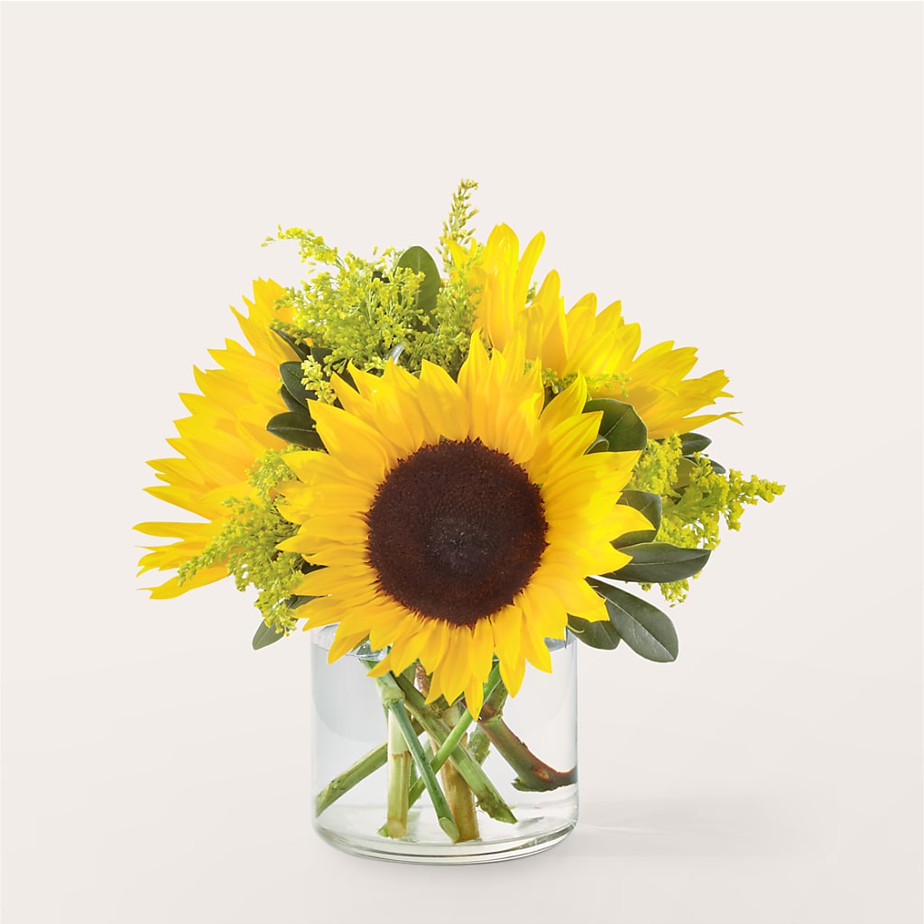 Beaming Sunflower Bouquet – THE CARRIAGE HOUSE FLORAL & GIFTS, Marlette MI