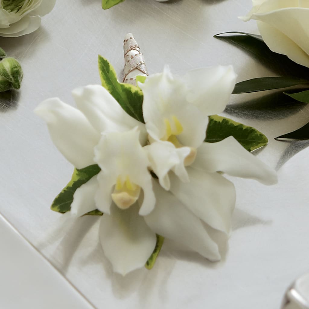 White Mini Cymbidium Boutonniere – THE CARRIAGE HOUSE FLORAL & GIFTS, Marlette MI