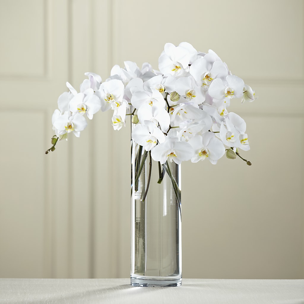 White Phalaenopsis Bouquet – THE CARRIAGE HOUSE FLORAL & GIFTS, Marlette MI