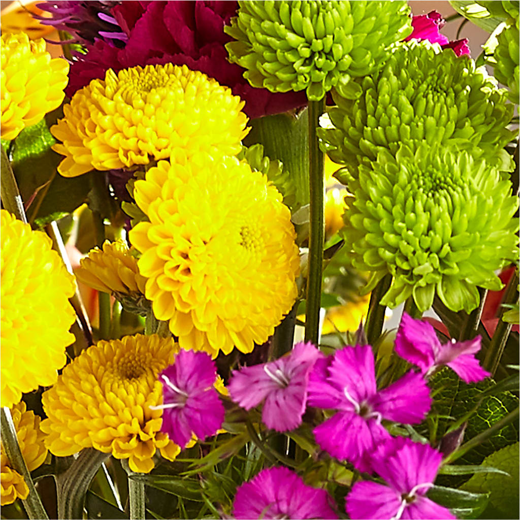 Bold & Bright – A Florist Original – THE CARRIAGE HOUSE FLORAL & GIFTS, Marlette MI