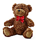 Adorable Plush Bear – THE CARRIAGE HOUSE FLORAL & GIFTS, Marlette MI