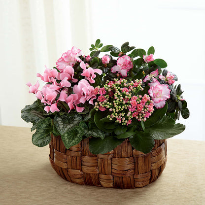 Pink Assortment – THE CARRIAGE HOUSE FLORAL & GIFTS, Marlette MI