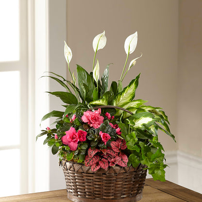 Dream in Pink Dishgarden – THE CARRIAGE HOUSE FLORAL & GIFTS, Marlette MI