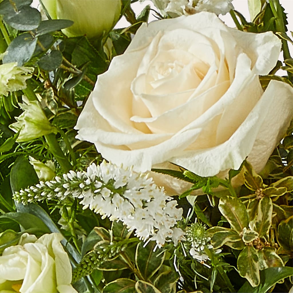 Cashmere Bouquet – THE CARRIAGE HOUSE FLORAL & GIFTS, Marlette MI