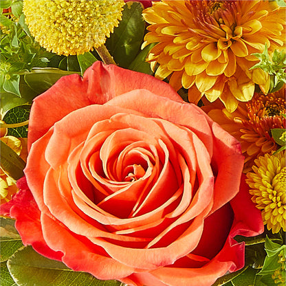 Gourdgeous Pumpkin – THE CARRIAGE HOUSE FLORAL & GIFTS, Marlette MI