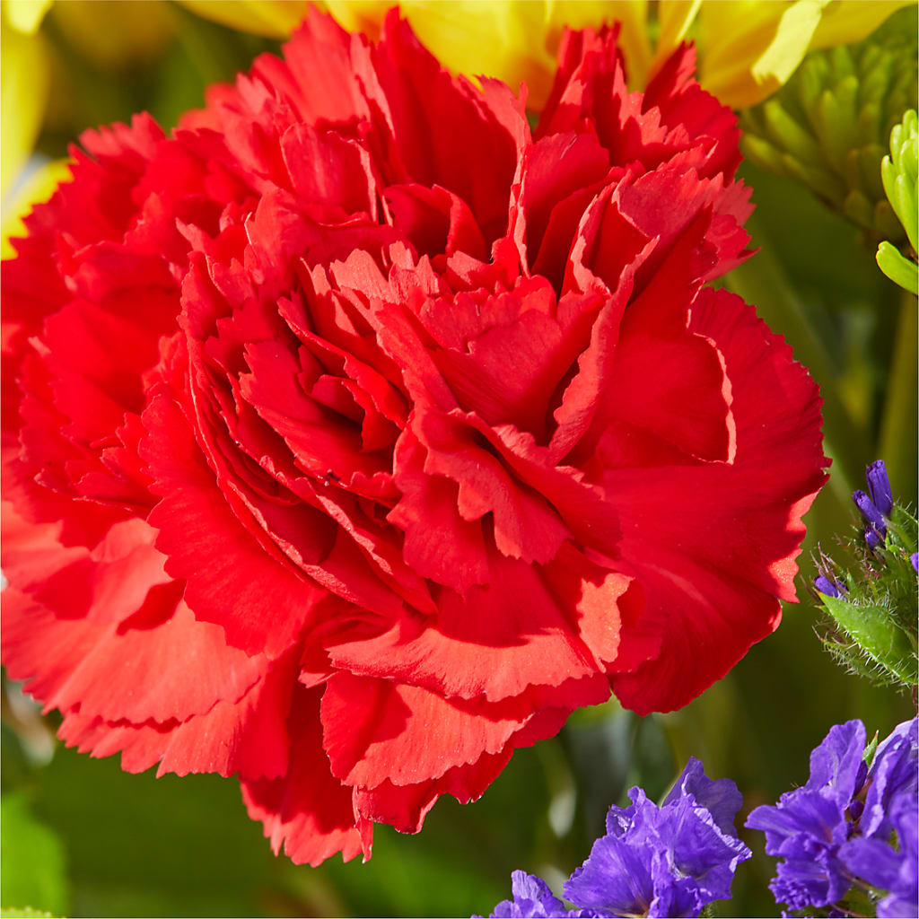 Brighter Days Bouquet – THE CARRIAGE HOUSE FLORAL & GIFTS, Marlette MI