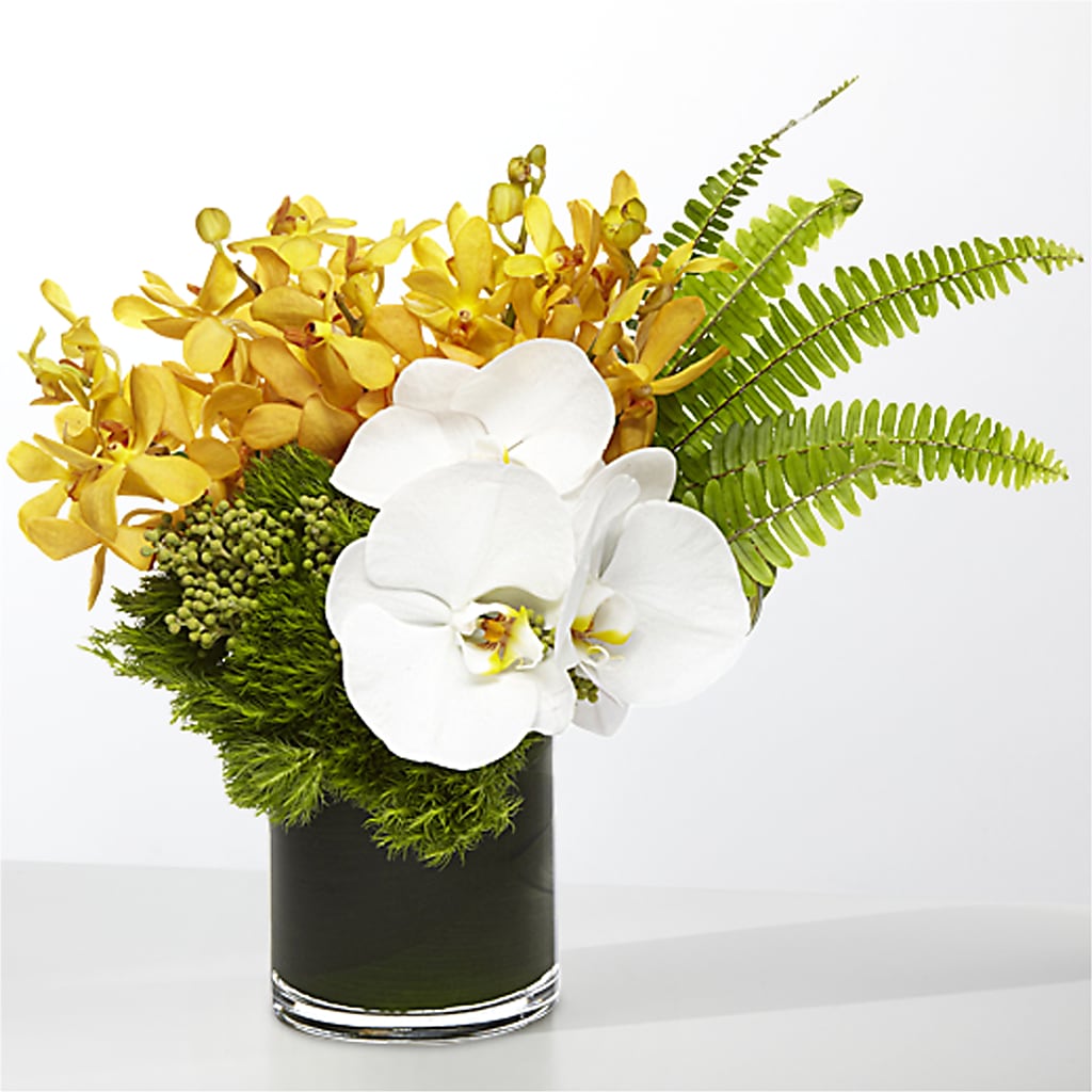 The Tropics – THE CARRIAGE HOUSE FLORAL & GIFTS, Marlette MI