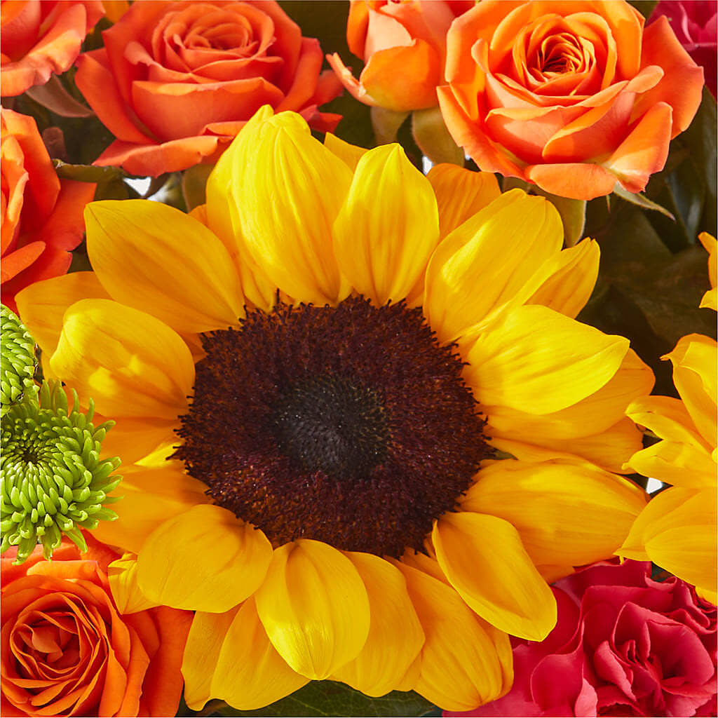 Sun-drenched Blooms Box Bouquet – THE CARRIAGE HOUSE FLORAL & GIFTS, Marlette MI