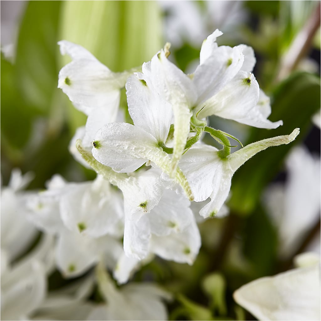 Classic Ivory – A Florist Original – THE CARRIAGE HOUSE FLORAL & GIFTS, Marlette MI