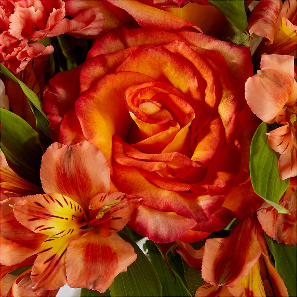 Apricot Glow Bouquet – THE CARRIAGE HOUSE FLORAL & GIFTS, Marlette MI