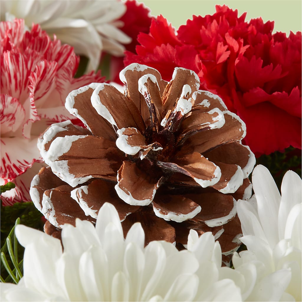 Candy Cane Lane Bouquet – THE CARRIAGE HOUSE FLORAL & GIFTS, Marlette MI