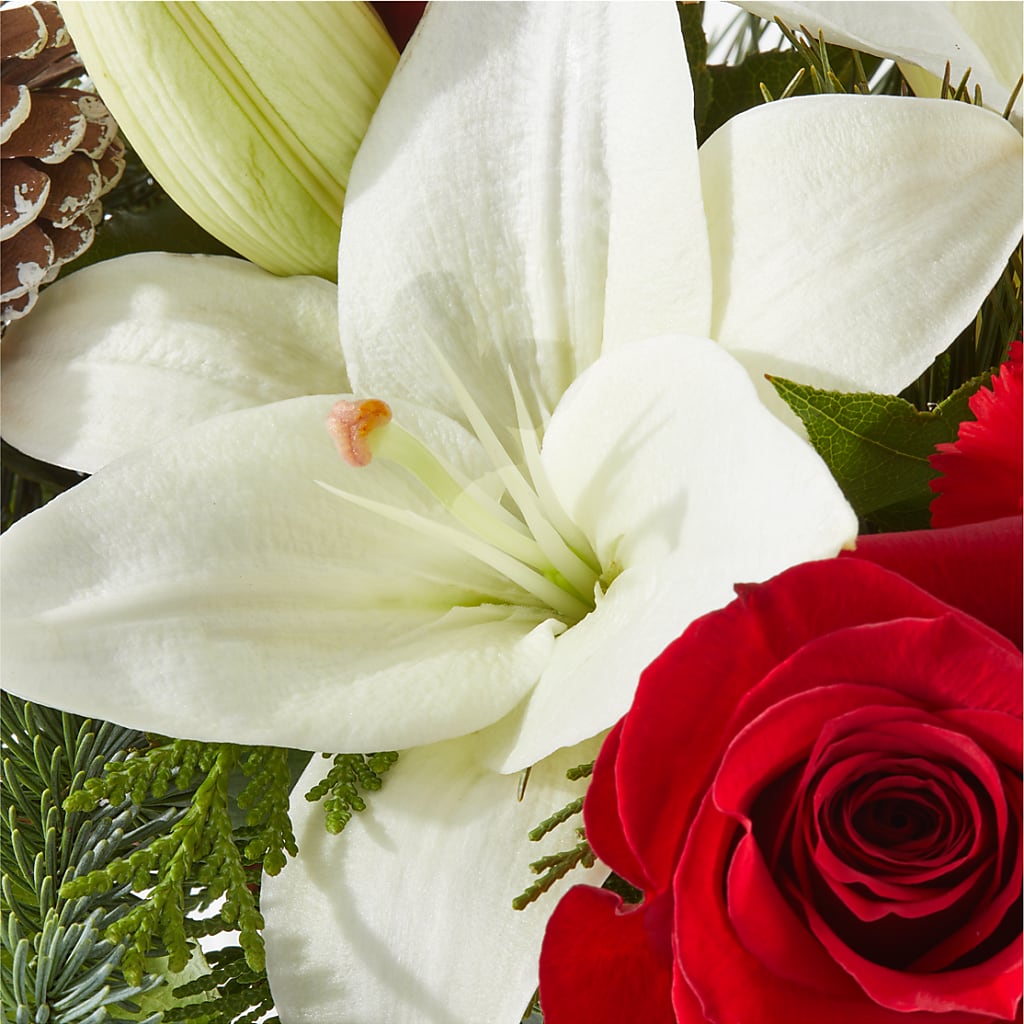 Oh So Jolly Bouquet – THE CARRIAGE HOUSE FLORAL & GIFTS, Marlette MI