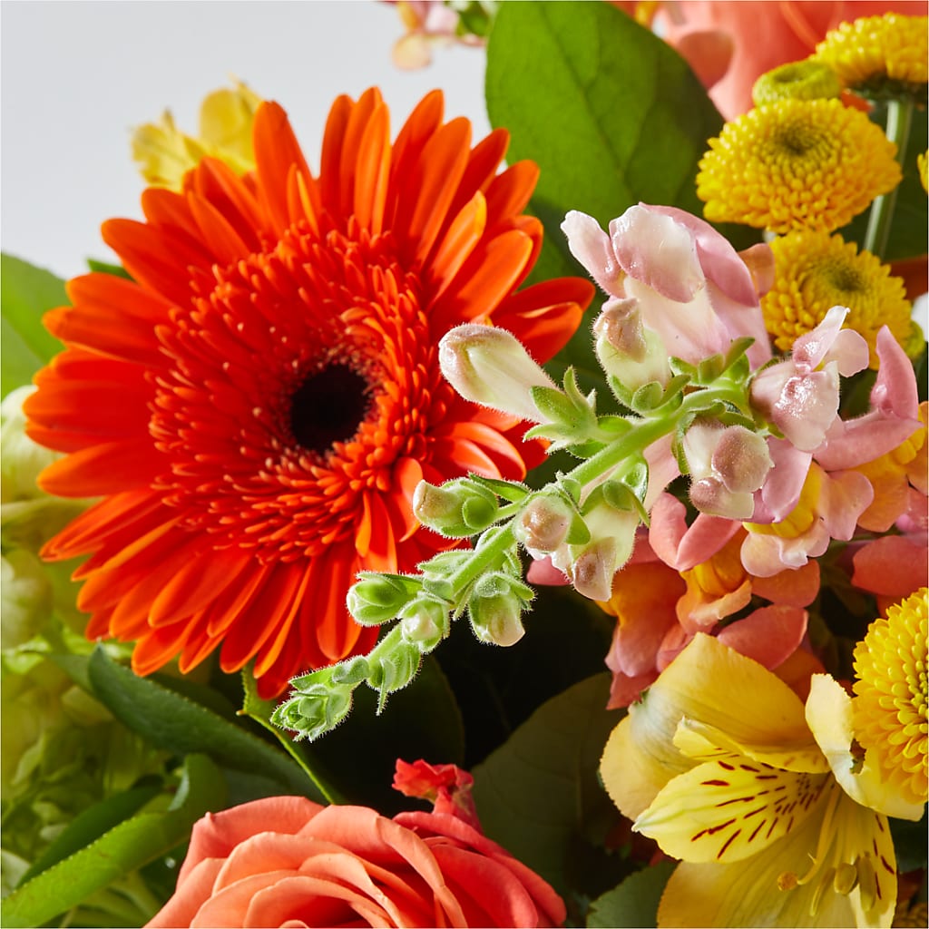 Autumn Sunshine Bouquet – THE CARRIAGE HOUSE FLORAL & GIFTS, Marlette MI