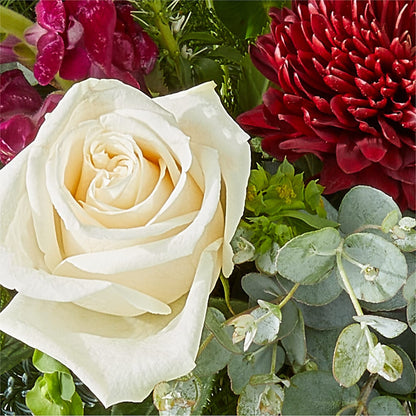 Cranberry Fizz Bouquet – THE CARRIAGE HOUSE FLORAL & GIFTS, Marlette MI