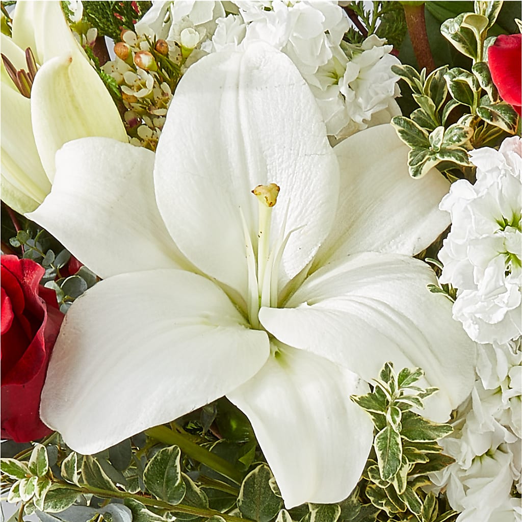 Twinkle Lights Bouquet – THE CARRIAGE HOUSE FLORAL & GIFTS, Marlette MI