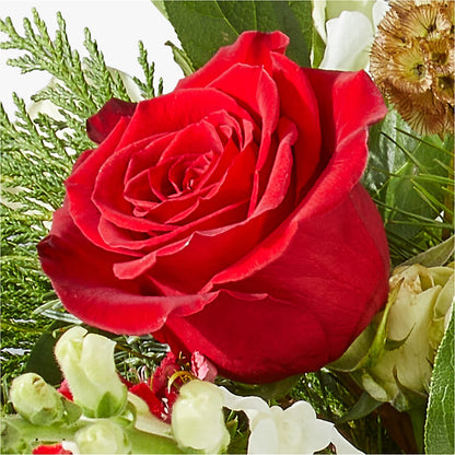 Deck the Halls Bouquet – THE CARRIAGE HOUSE FLORAL & GIFTS, Marlette MI