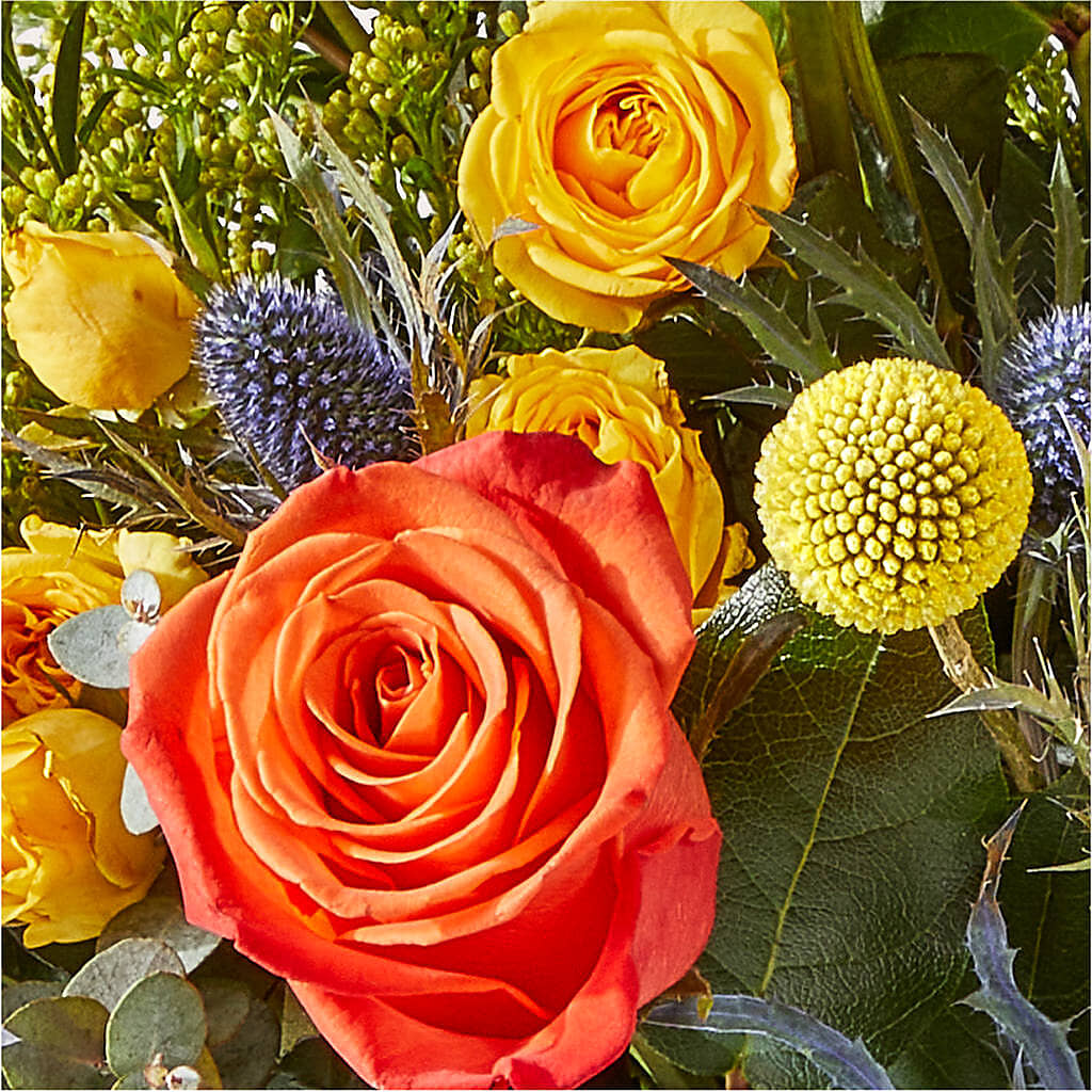 Disco Bouquet – THE CARRIAGE HOUSE FLORAL & GIFTS, Marlette MI