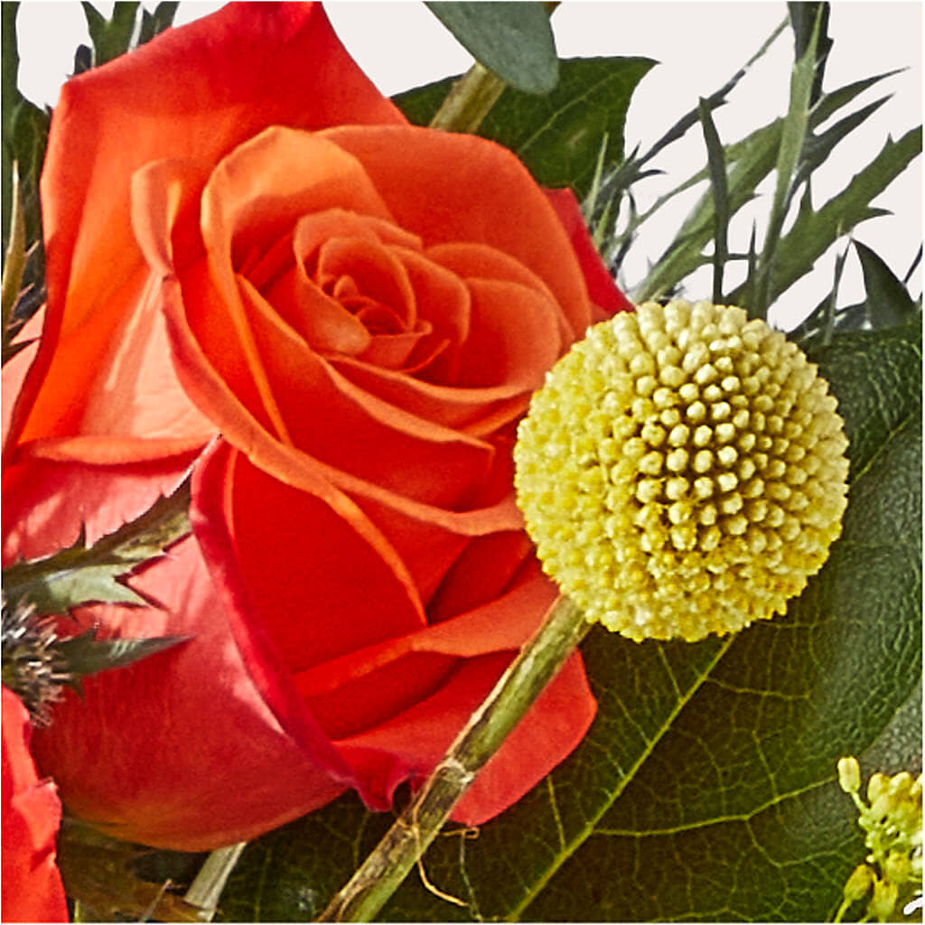 Disco Bouquet – THE CARRIAGE HOUSE FLORAL & GIFTS, Marlette MI