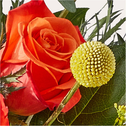 Disco Bouquet – THE CARRIAGE HOUSE FLORAL & GIFTS, Marlette MI