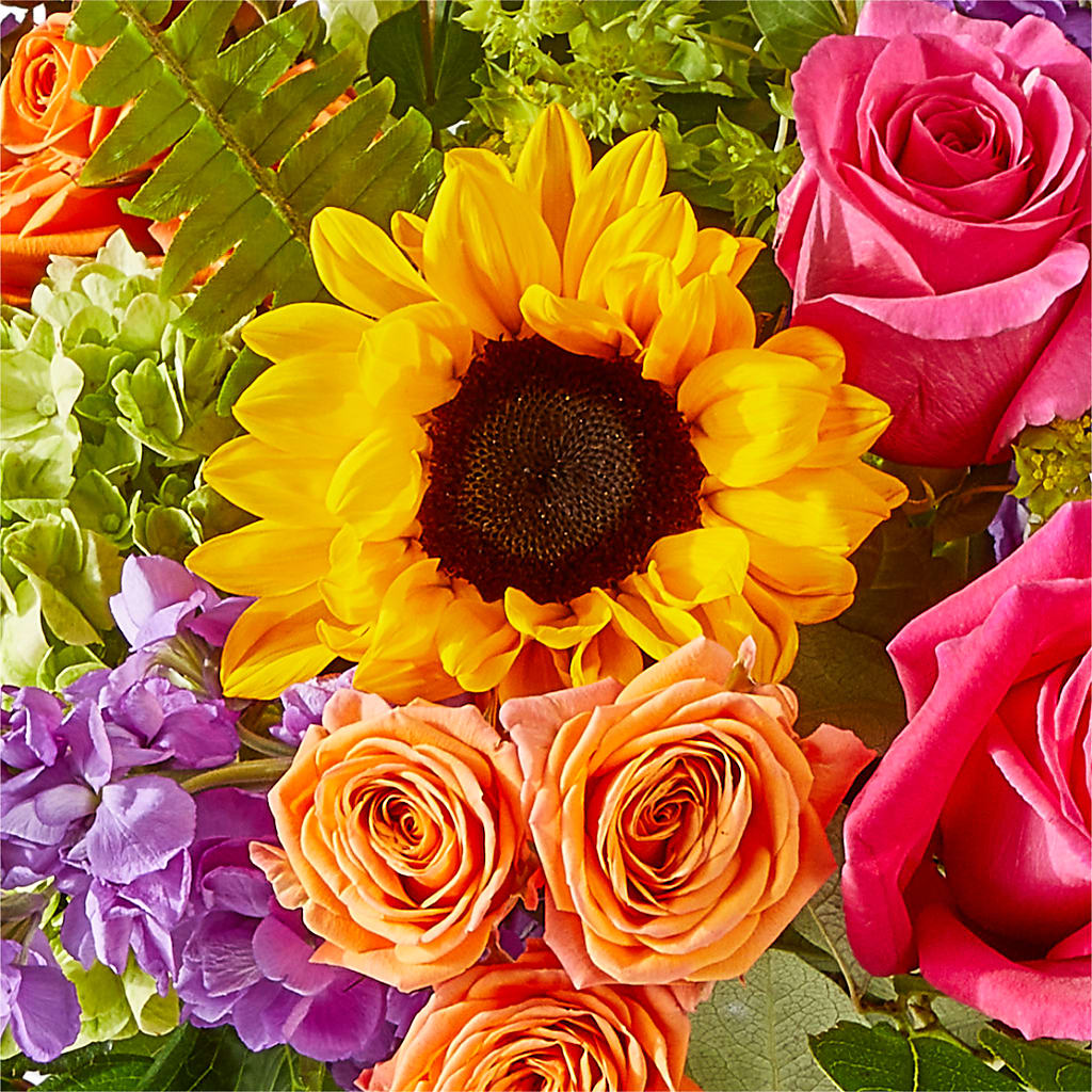 Vibrant Greetings Bouquet – THE CARRIAGE HOUSE FLORAL & GIFTS, Marlette MI
