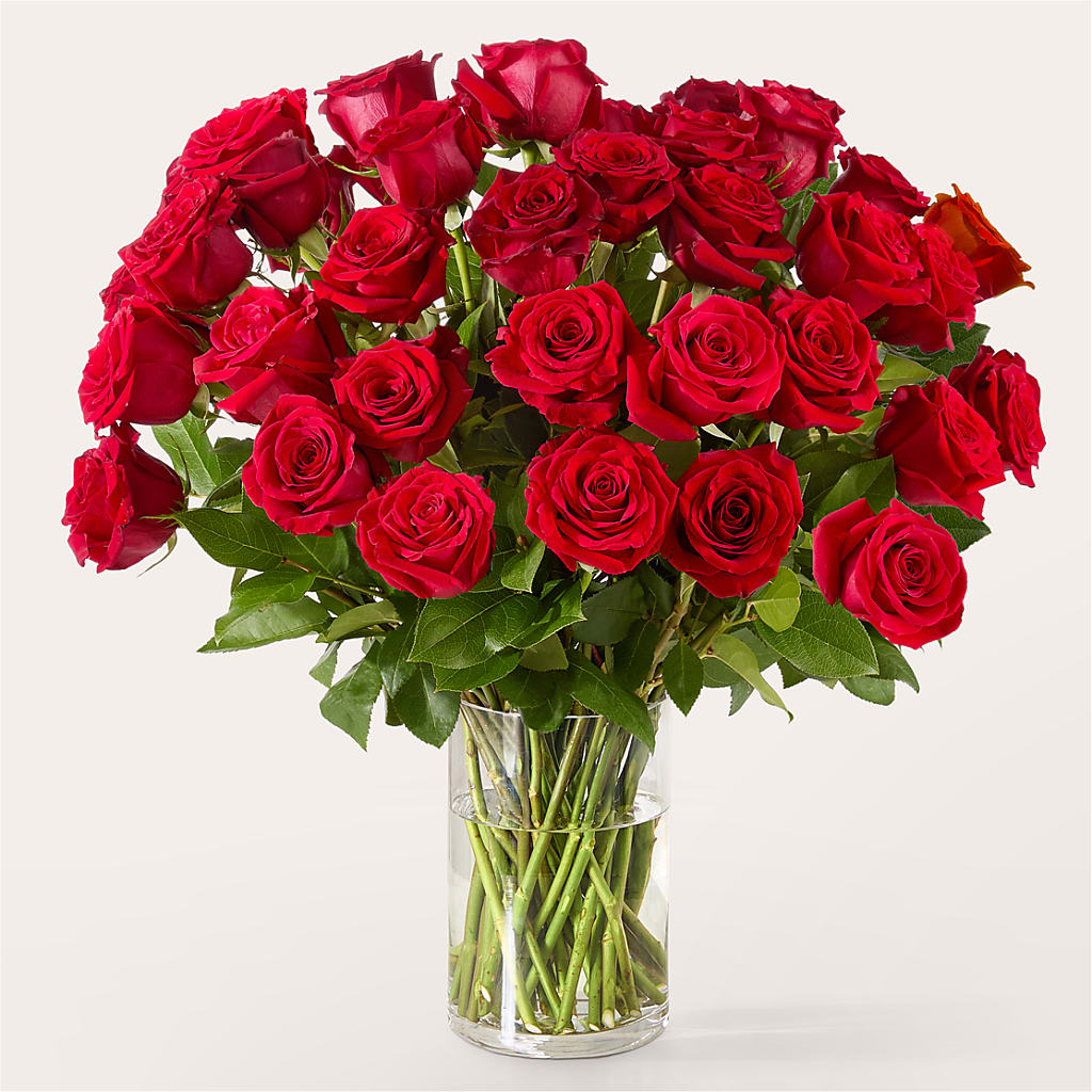 The One Red Rose Bouquet – THE CARRIAGE HOUSE FLORAL & GIFTS, Marlette MI