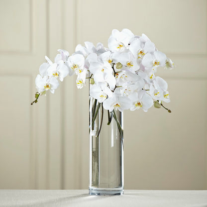 White Phalaenopsis Bouquet – THE CARRIAGE HOUSE FLORAL & GIFTS, Marlette MI